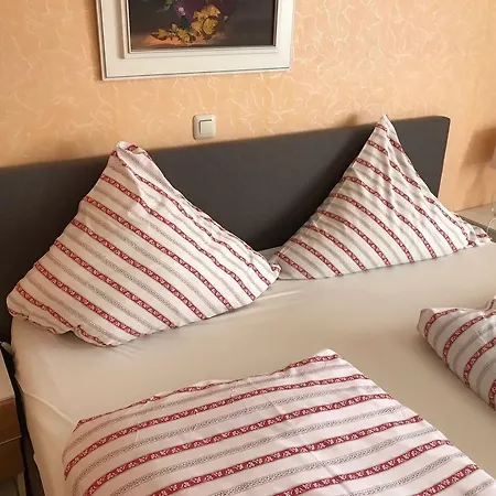 Balthasar Neumann Speiserei & Gaestehaus - Zentrum -e-ladestation, Naehe Phantasialand 2* Brühl