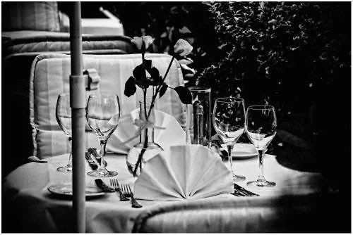 Balthasar Neumann Speiserei&gästehaus - Zentrum -e-ladestation, Nähe Phantasialand Gasthof 2*