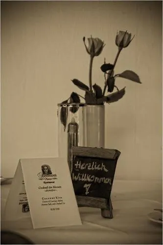 Balthasar Neumann Speiserei&gästehaus - Zentrum -e-ladestation, Nähe Phantasialand 2* Brühl